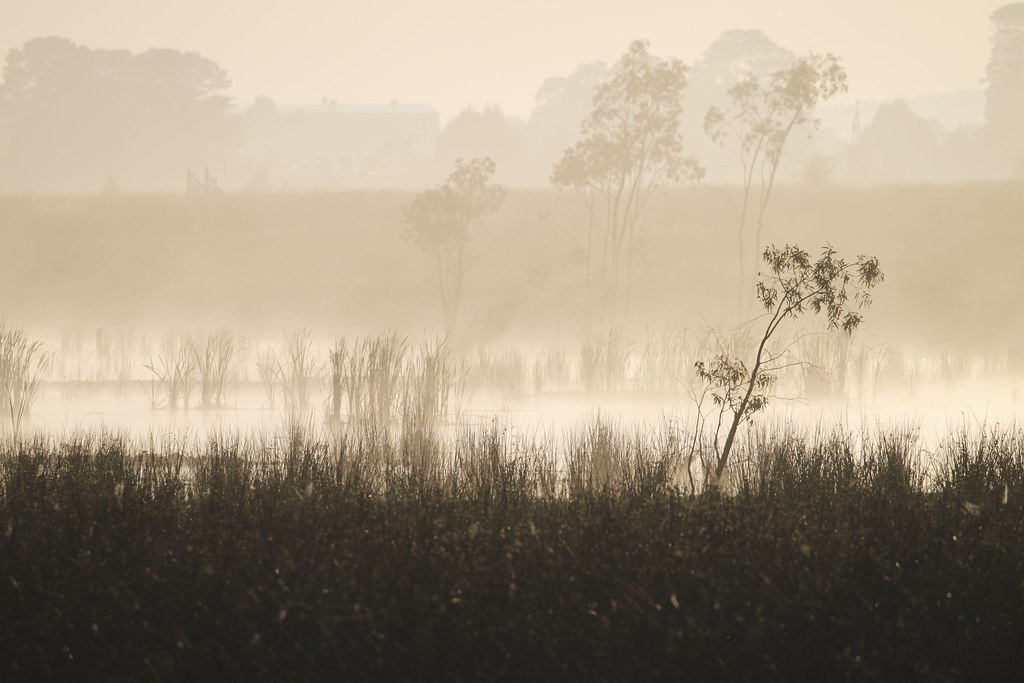 The Science and Research Behind Healthy Eating in Ballarat