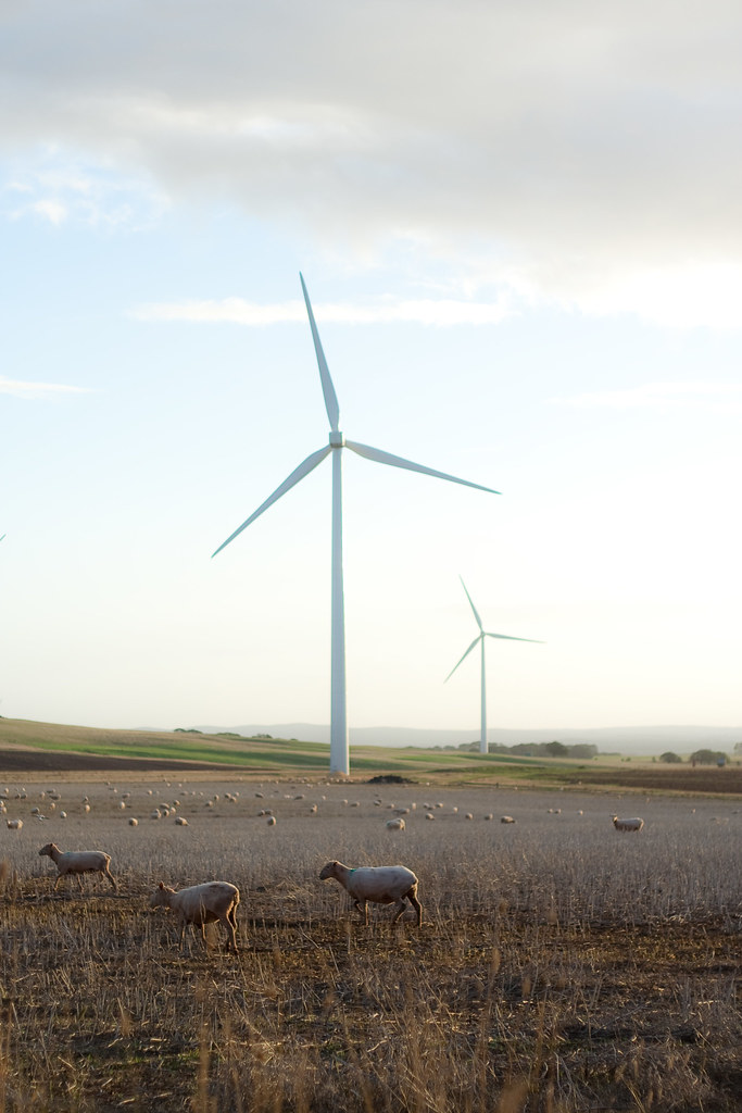 Green Tech Transforms Daily Life for Ballarat Residents