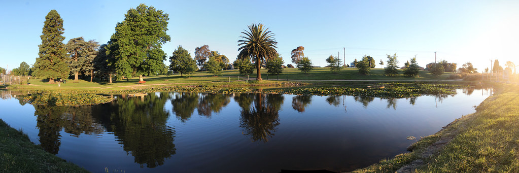 The Grassroots Story Behind the Community Sport Movement: Ballarat's Amateur League Standings Tell a Tale of Resilience